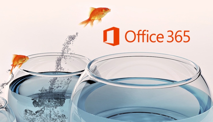 Office 365 Tips