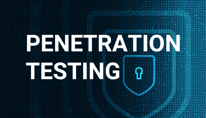 What is penetration testing and why is it important
