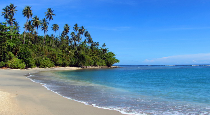 Project IT Services. A tropical island with light waves breaking on a beach